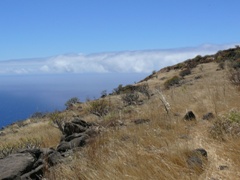Gomera
