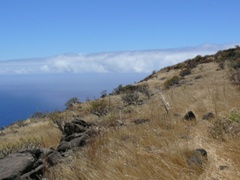 Gomera