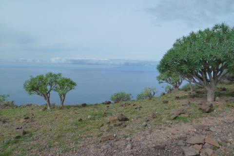 Gomera