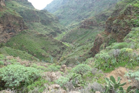 Gomera