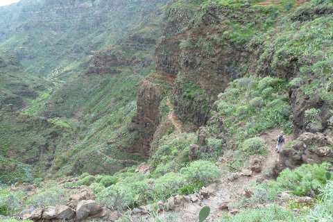 Gomera