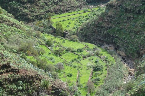 Gomera