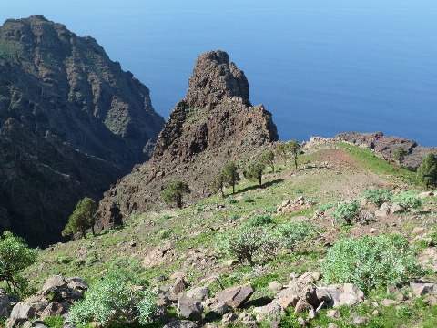 Gomera
