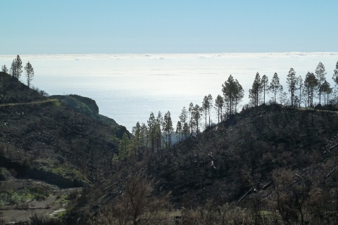 Gomera
